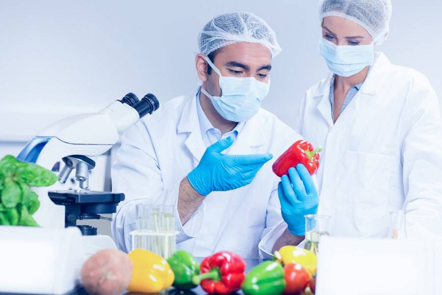 Food Scientists Looking Pepper 13339 224023 (1)
